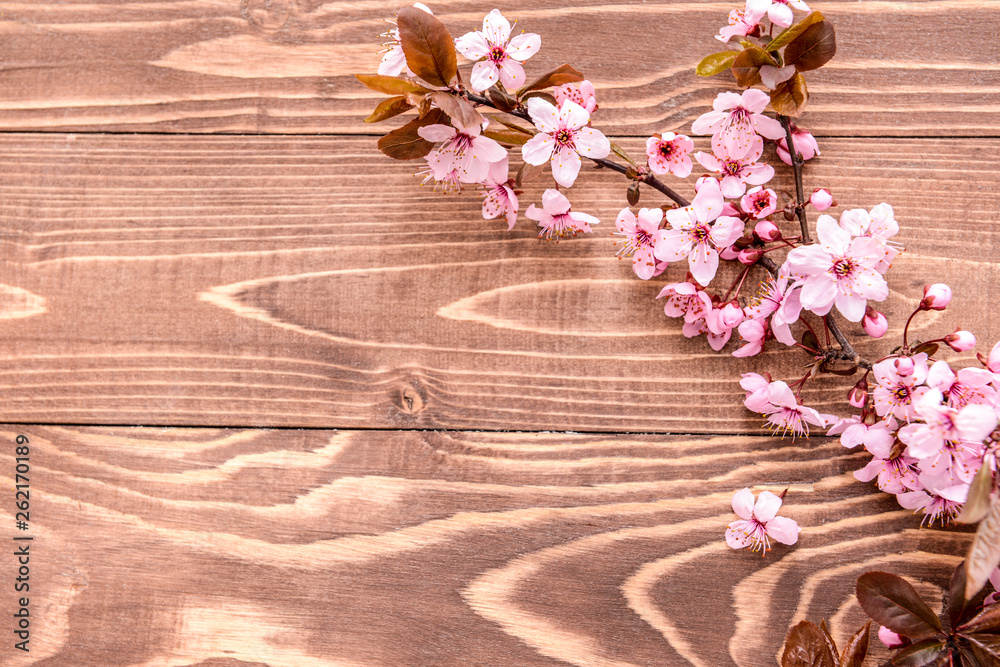 Beautiful blossoming branch on wooden background