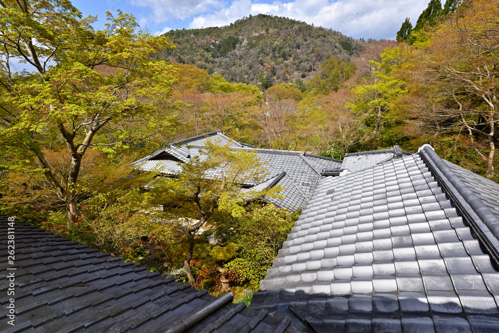 日本建築の屋根