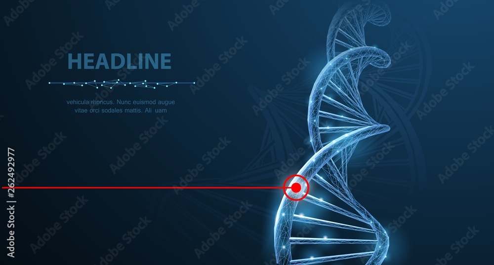 DNA。抽象的三维多边形线框DNA分子螺旋在白色背景上。