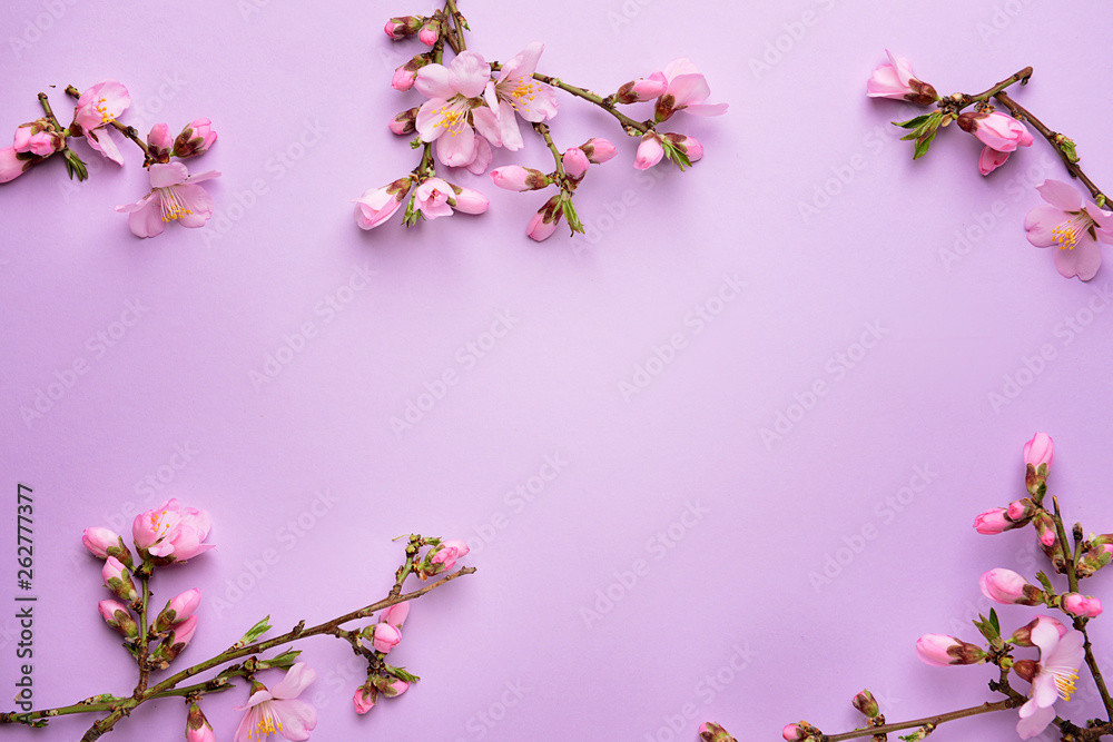 Beautiful blossoming branches on color background