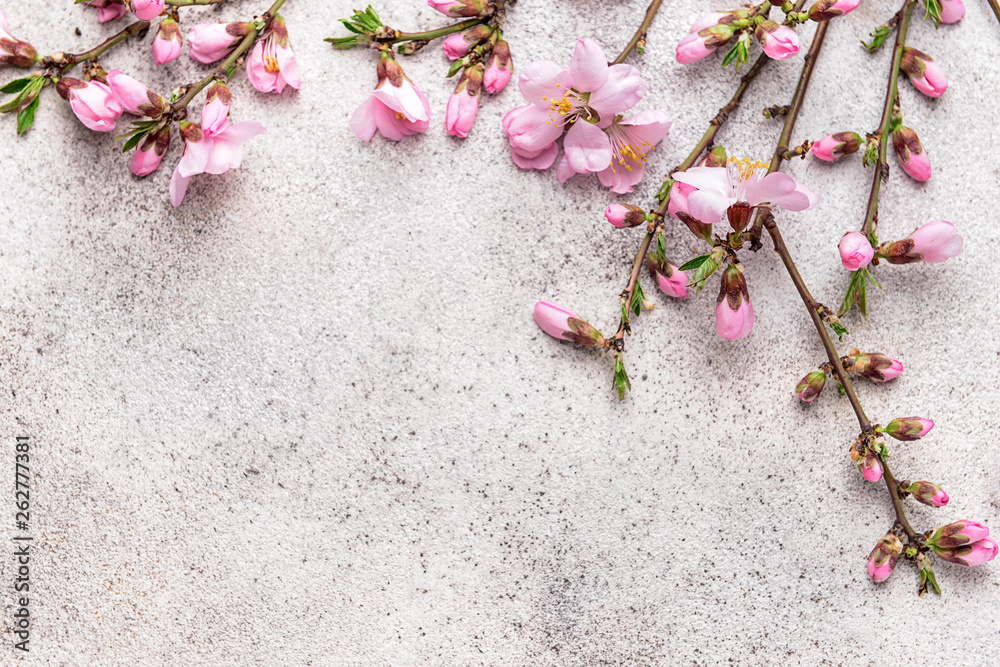 Beautiful blossoming branches on light background