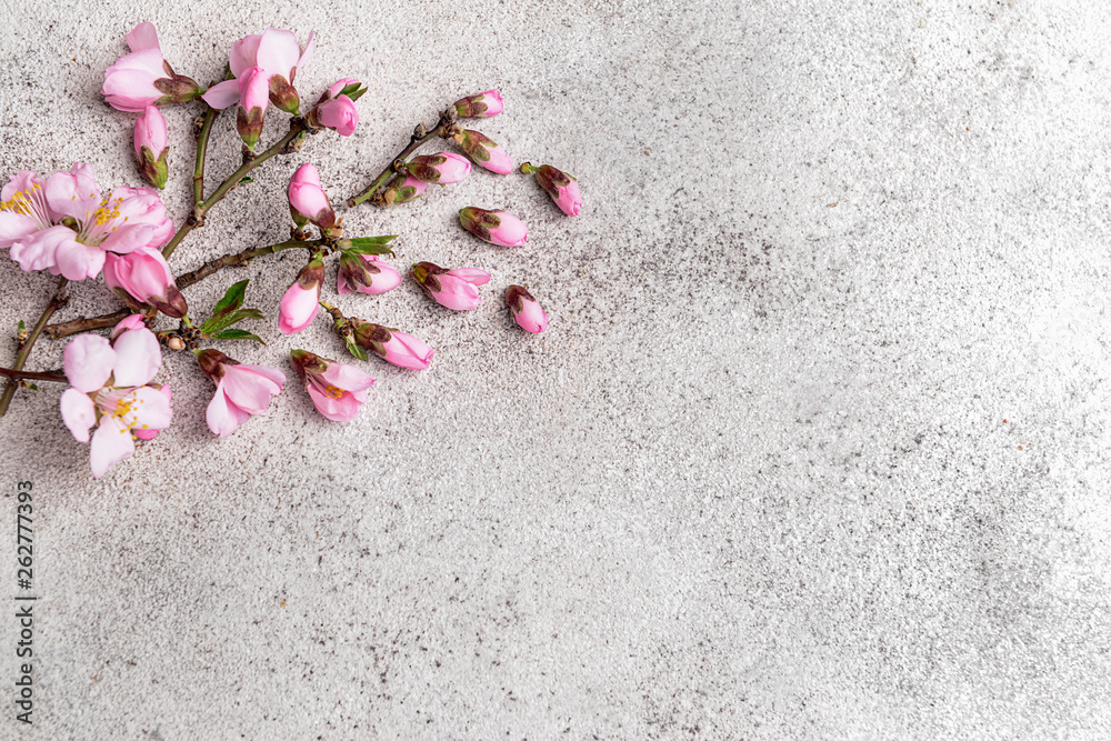 Beautiful blossoming branches on light background