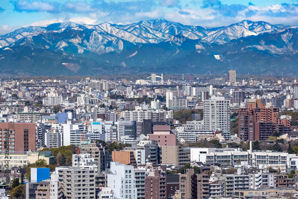 東京のビルと奥多摩の山並み