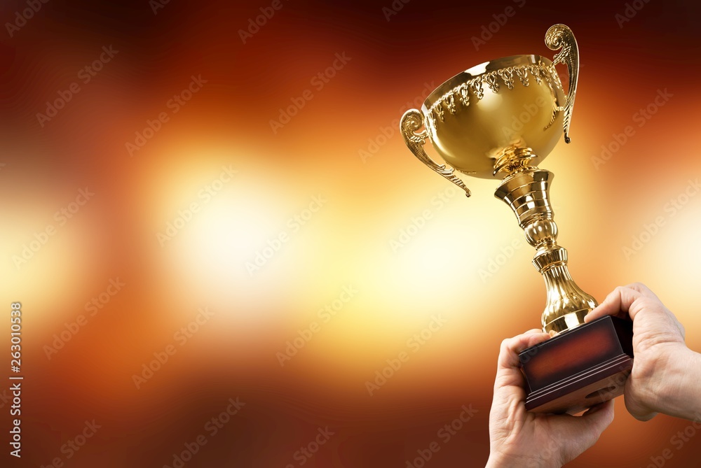 Hands holding golden trophy on light background