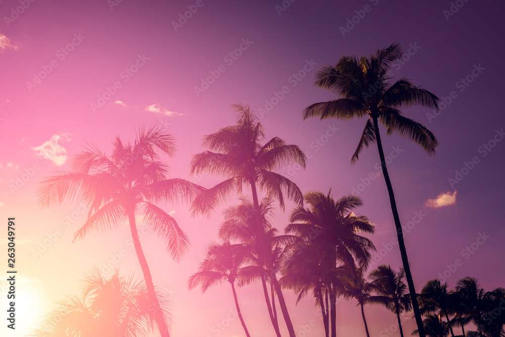 Palm tree silhouette on a background of tropical sunset