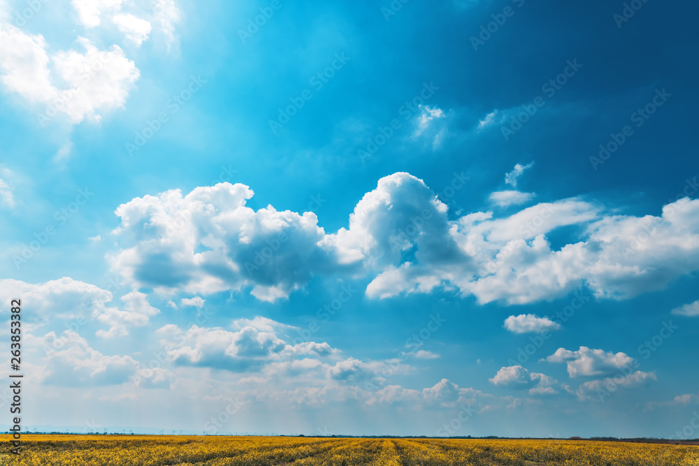 Beautiful springtime clouds over canola rapeseed field