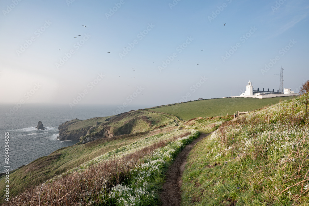 white lighthouse on the coast of england