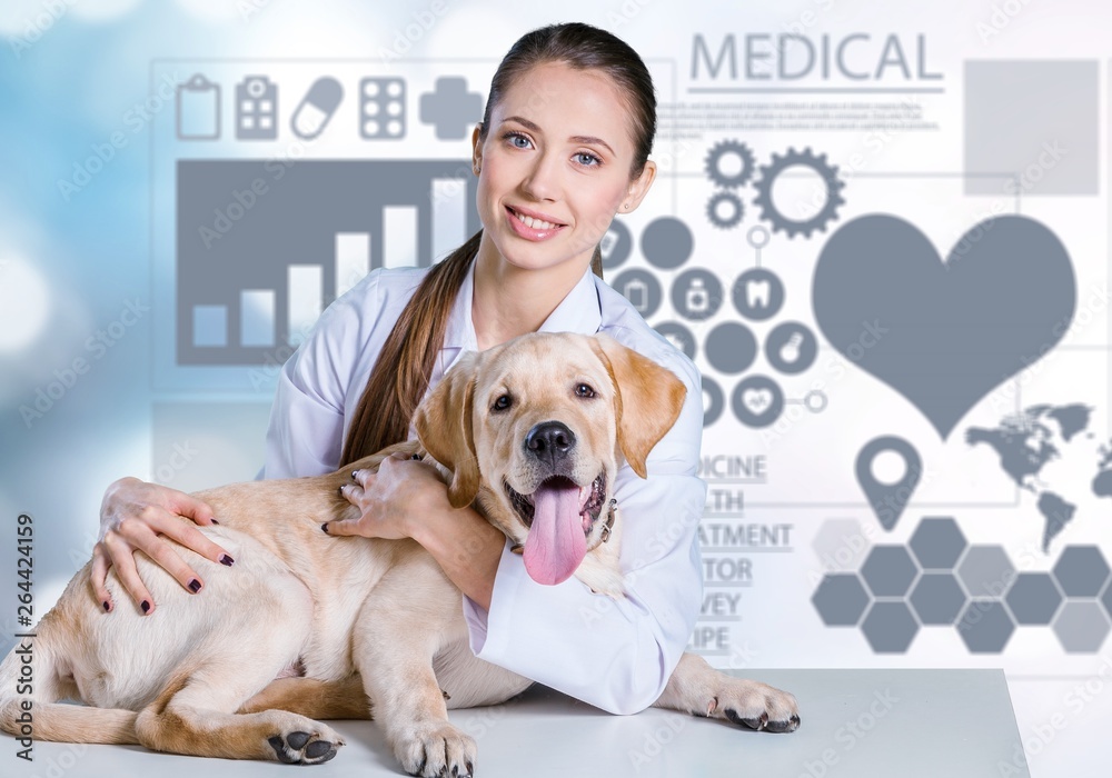 Beautiful young veterinarian with a dog on a white background