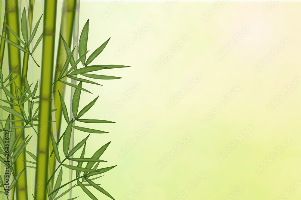 Bamboo tree background