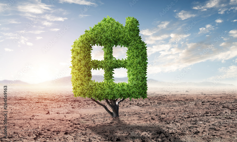 Green plant in shape of house grows in desert