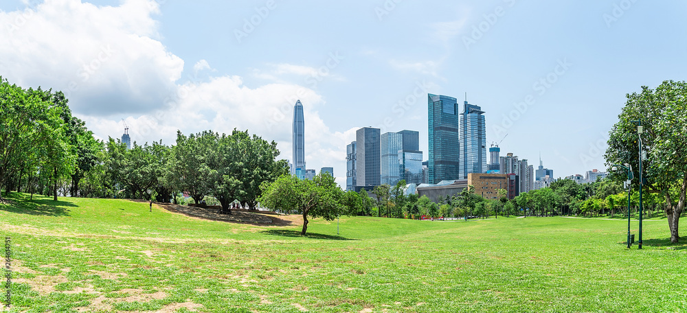 深圳莲花山公园全景