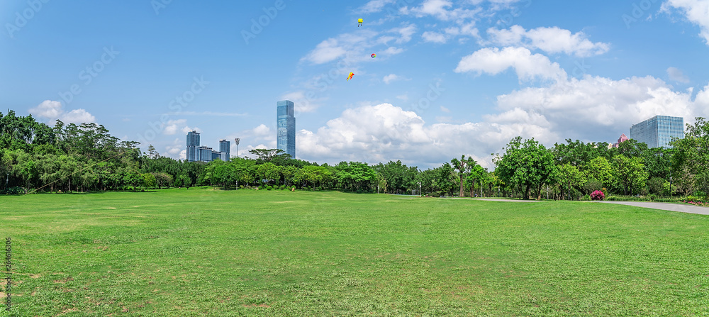 Shenzhen Lianhuashan Park big grass panorama