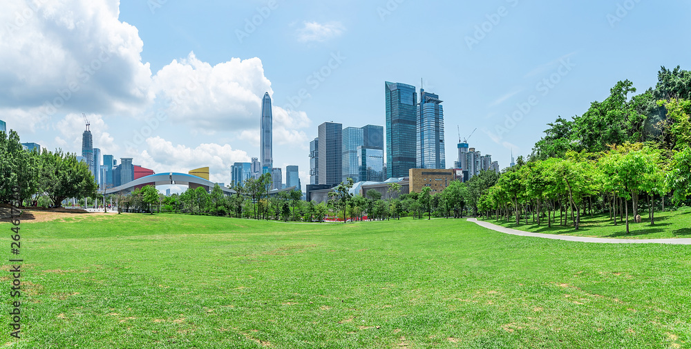 深圳莲花山公园全景