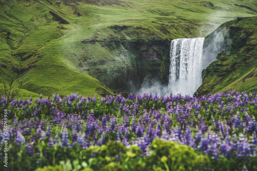 Beautiful scenery of the majestic Skogafoss Waterfall in countryside of Iceland in summer. Skogafoss