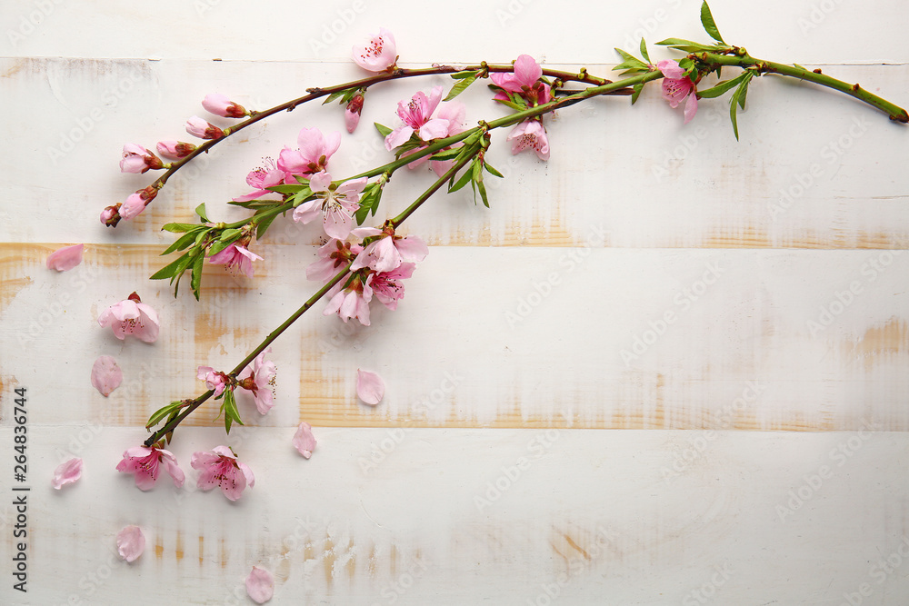 Beautiful blossoming branches on white wooden background