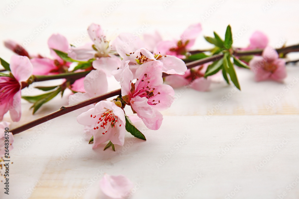 Beautiful blossoming branches on white wooden background