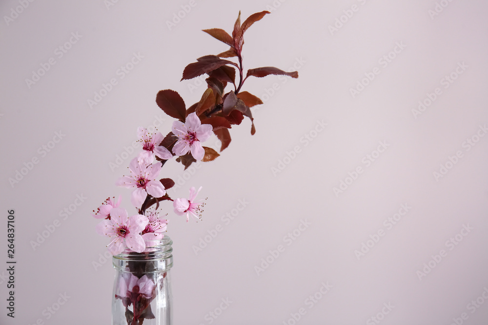 Vase with beautiful blooming branch against color background