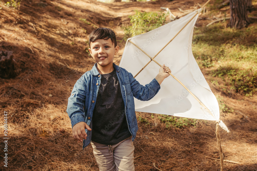 Boy playing with a kite