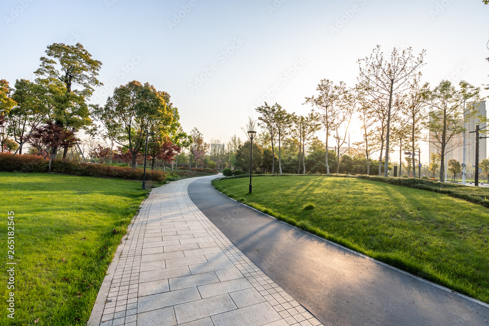 road in park