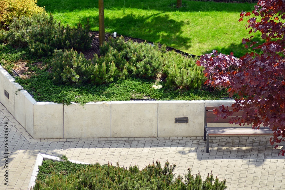 Ornamental shrubs and plants near a residential city house