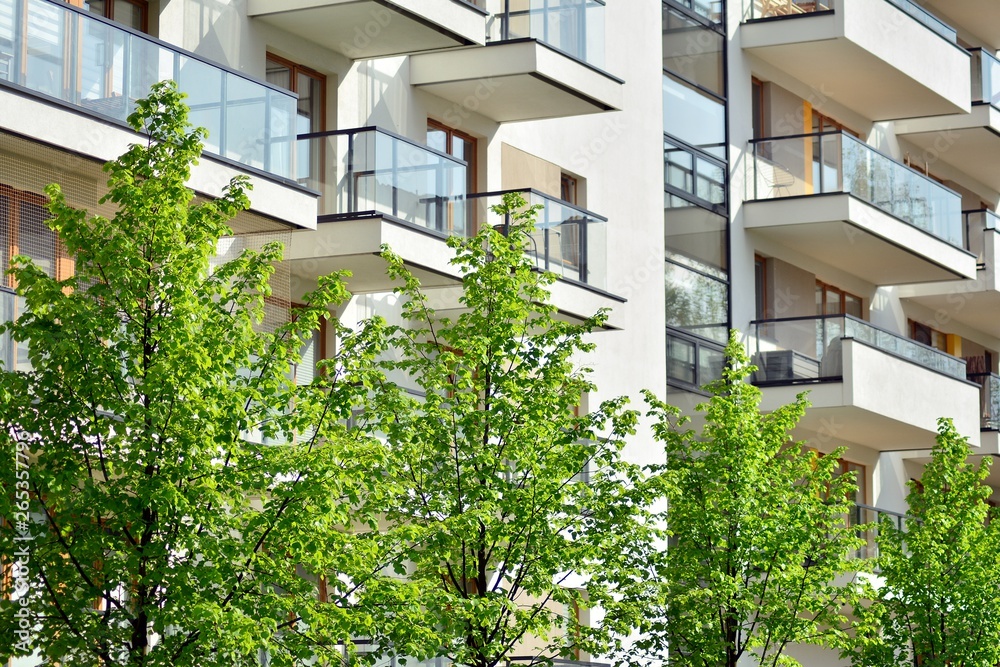 Ornamental shrubs and plants near a residential city house