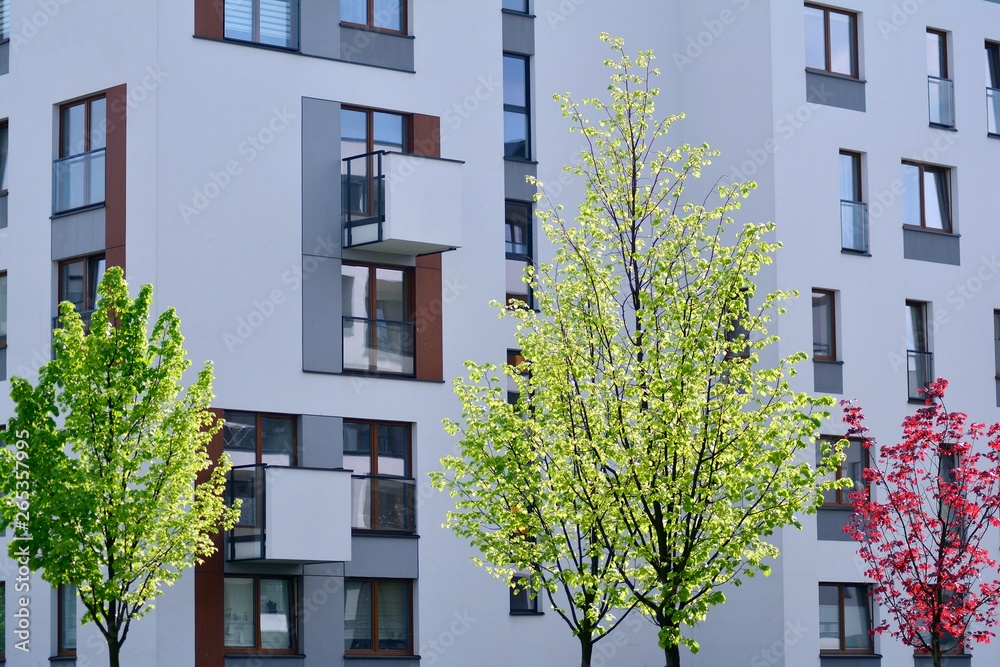 Ornamental shrubs and plants near a residential city house