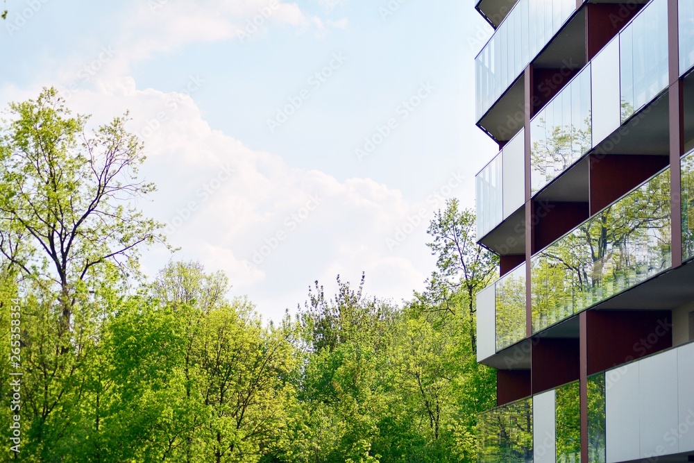 Ornamental shrubs and plants near a residential city house