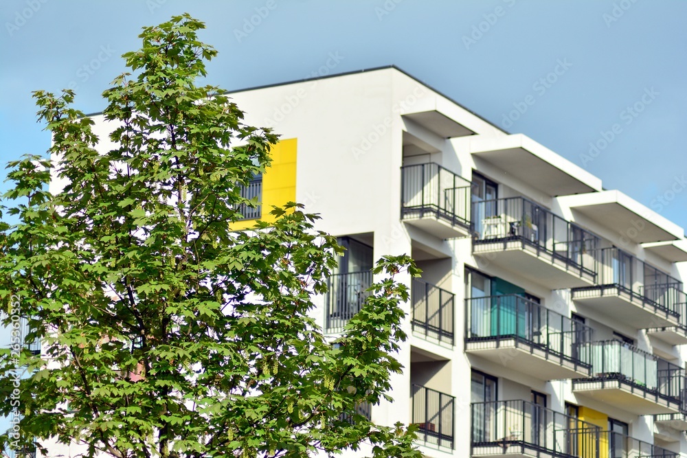 Ornamental shrubs and plants near a residential city house