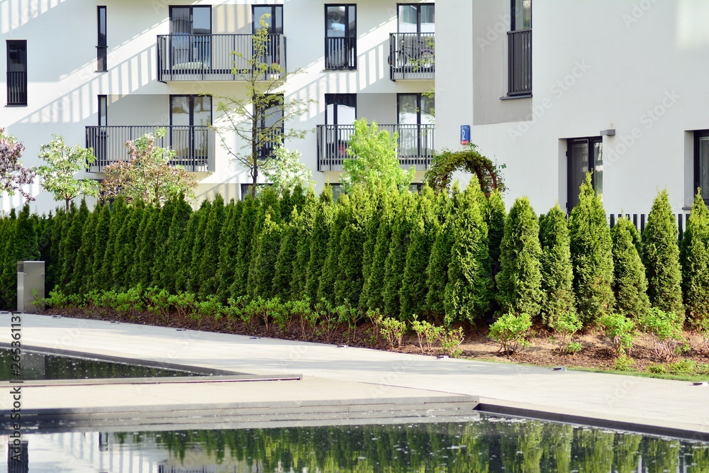 Ornamental shrubs and plants near a residential city house