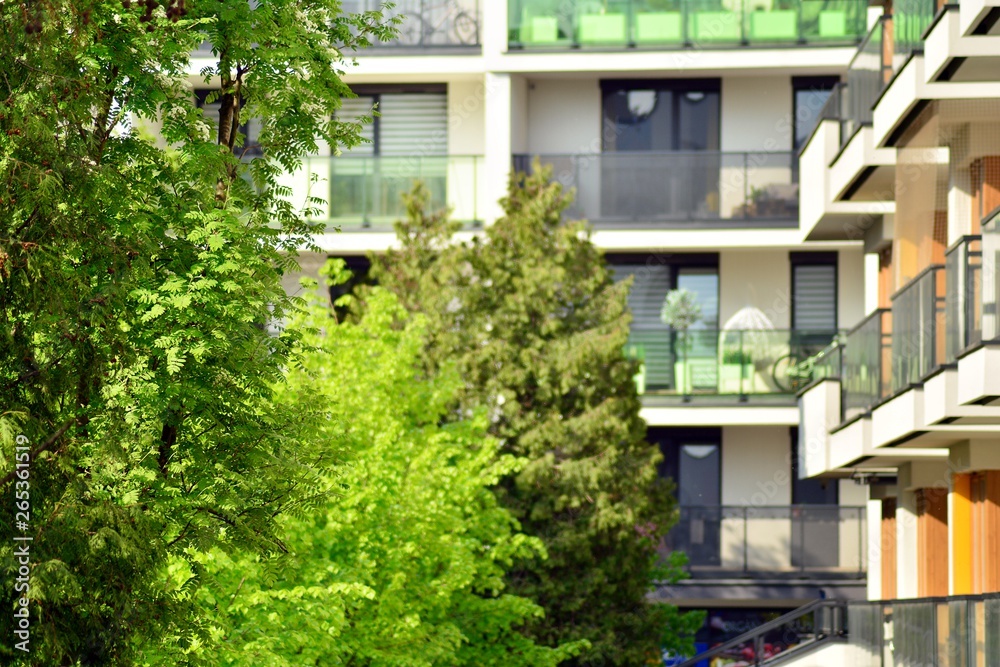 城市住宅附近的观赏灌木和植物