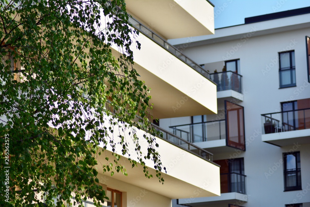 Ornamental shrubs and plants near a residential city house