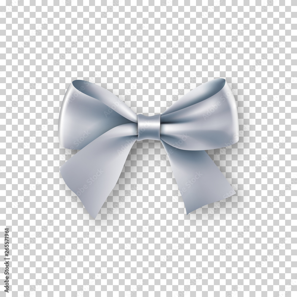 Fashionable silver bow with ribbon. Silk accessory for clothes. Design element with shadow isolated 