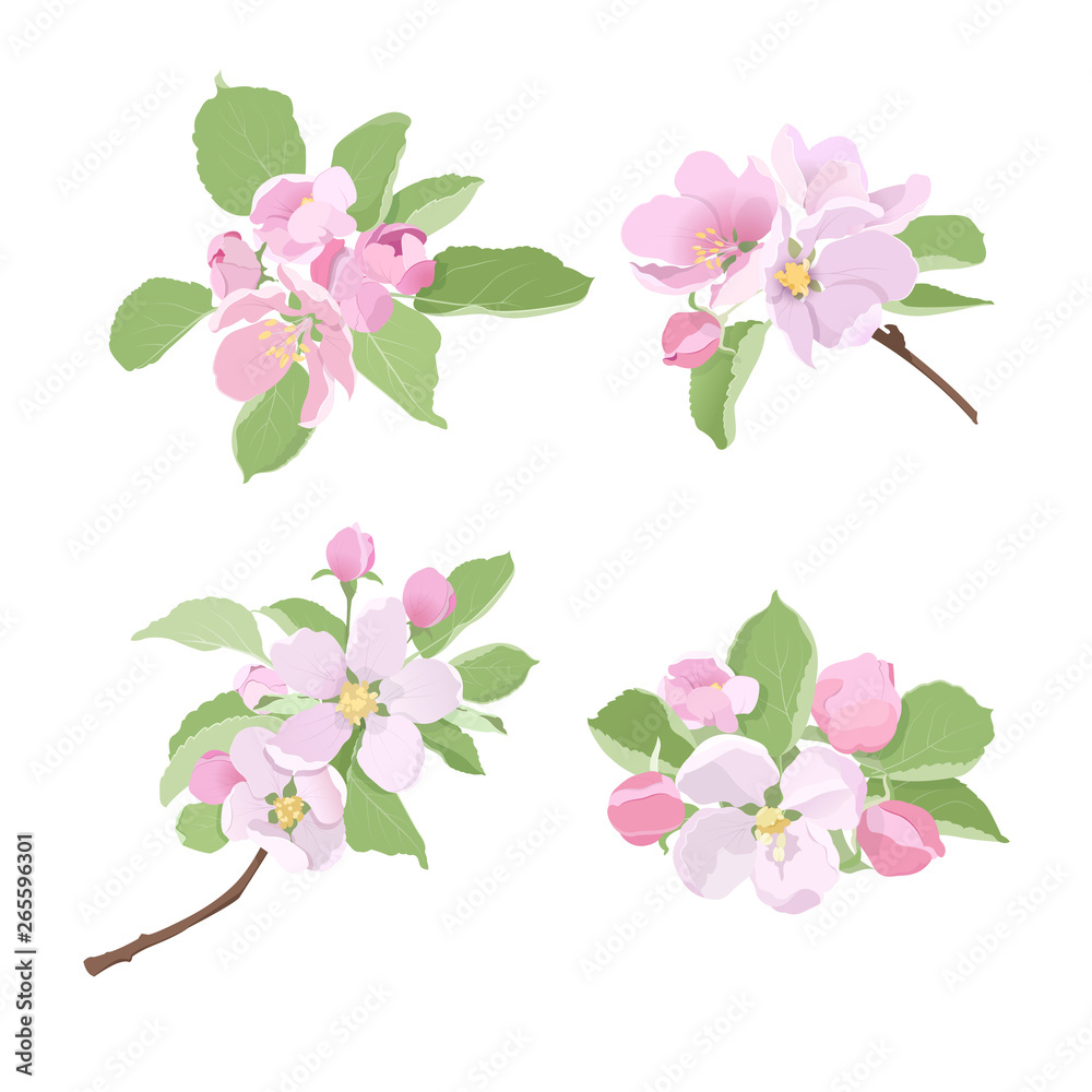 Blossoming apple tree branches with flowers and buds