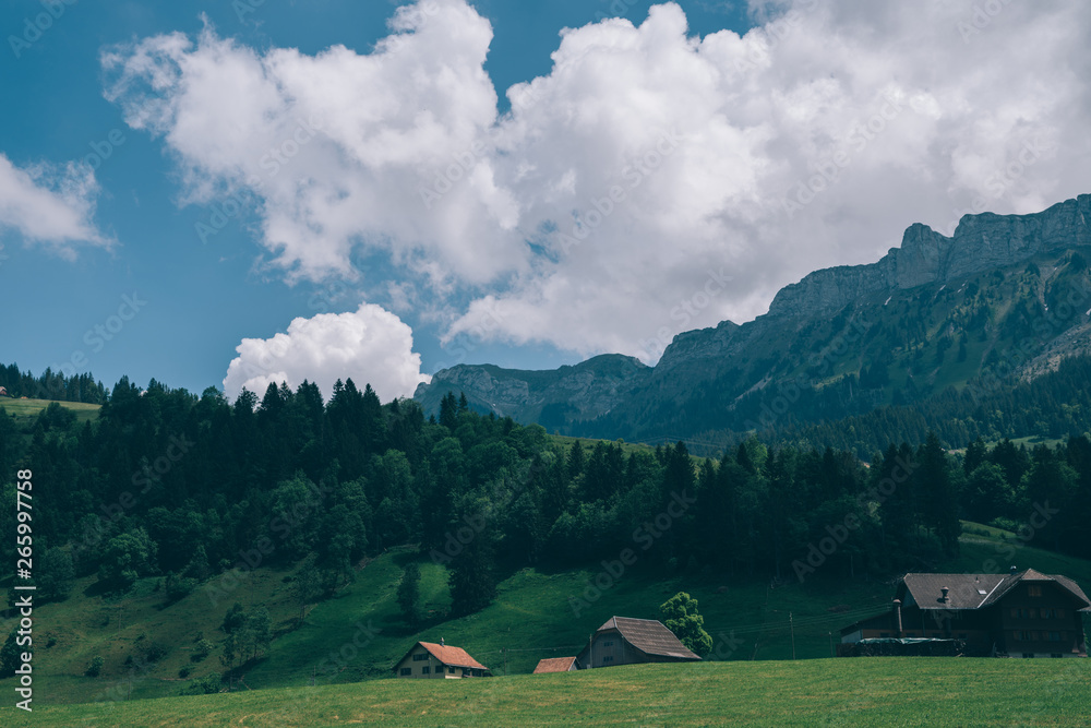 Beautiful nature view with green meadow on mountain slope near Lauterbrunnen, and mountains in backg