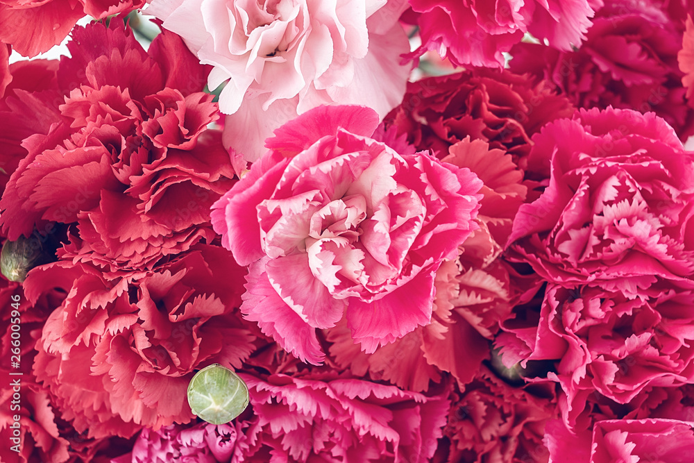 Full screen carnation flower wall background material