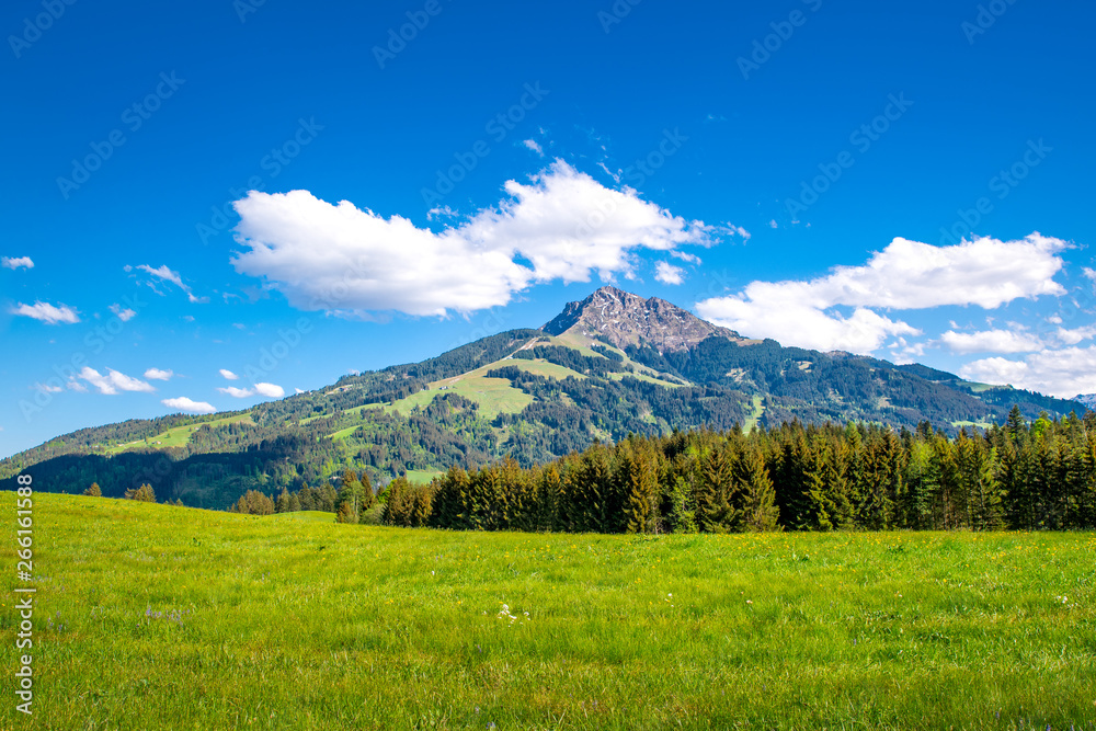 Kitzbüheler Horn in Summer, Kitzbühel, Tyrol, Austria