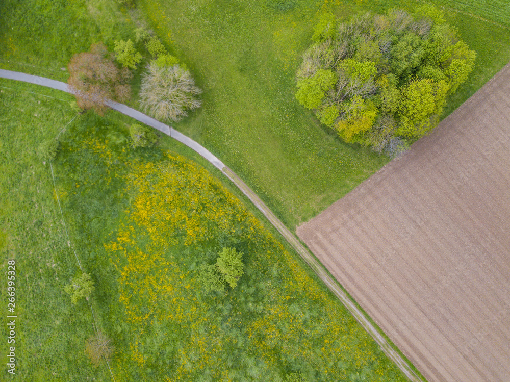 景观路径鸟瞰图