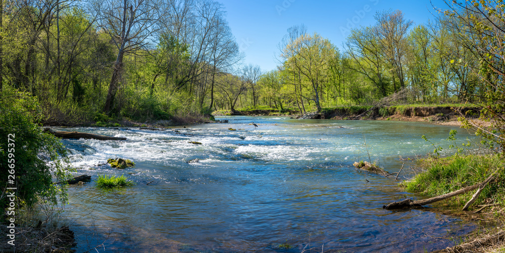 Panoramic view of Heron bird phishing, river in the forest, Lake Park Bella Vista City in Northwest 