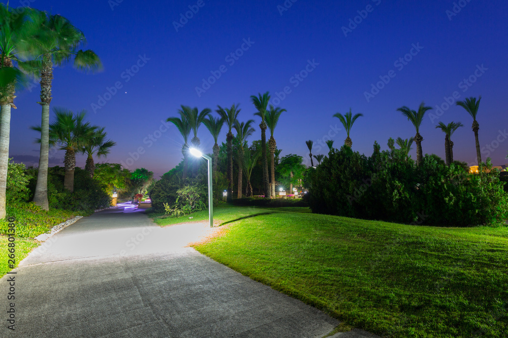 Beautiful pathway with palm trees at the beach of Turkey