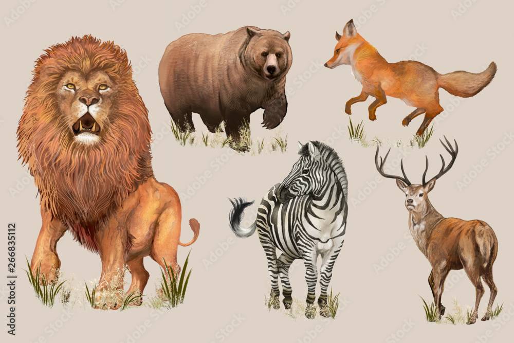 Hand drawn wild animals