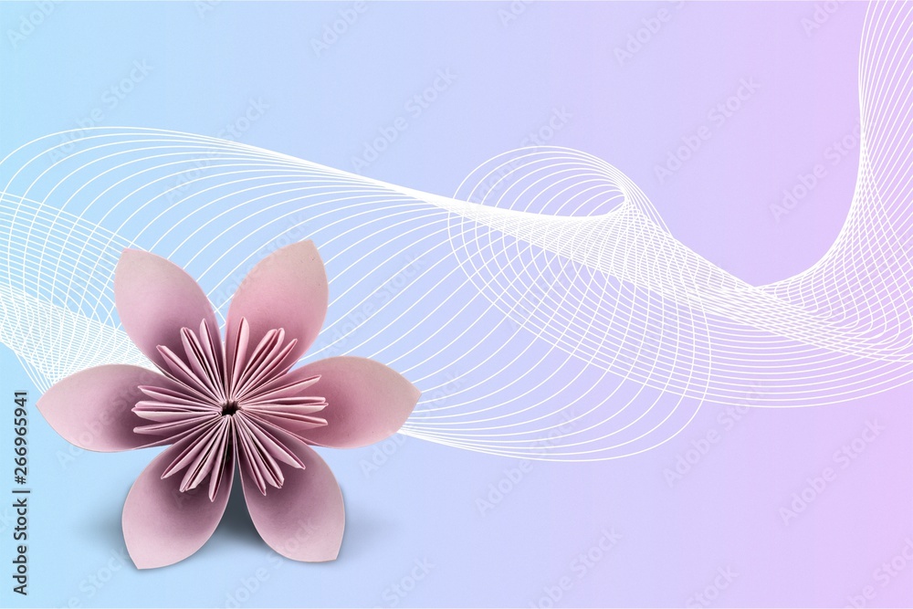 Pink paper origami flower on white background