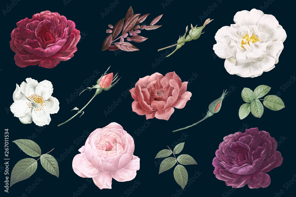 Vintage flower drawings