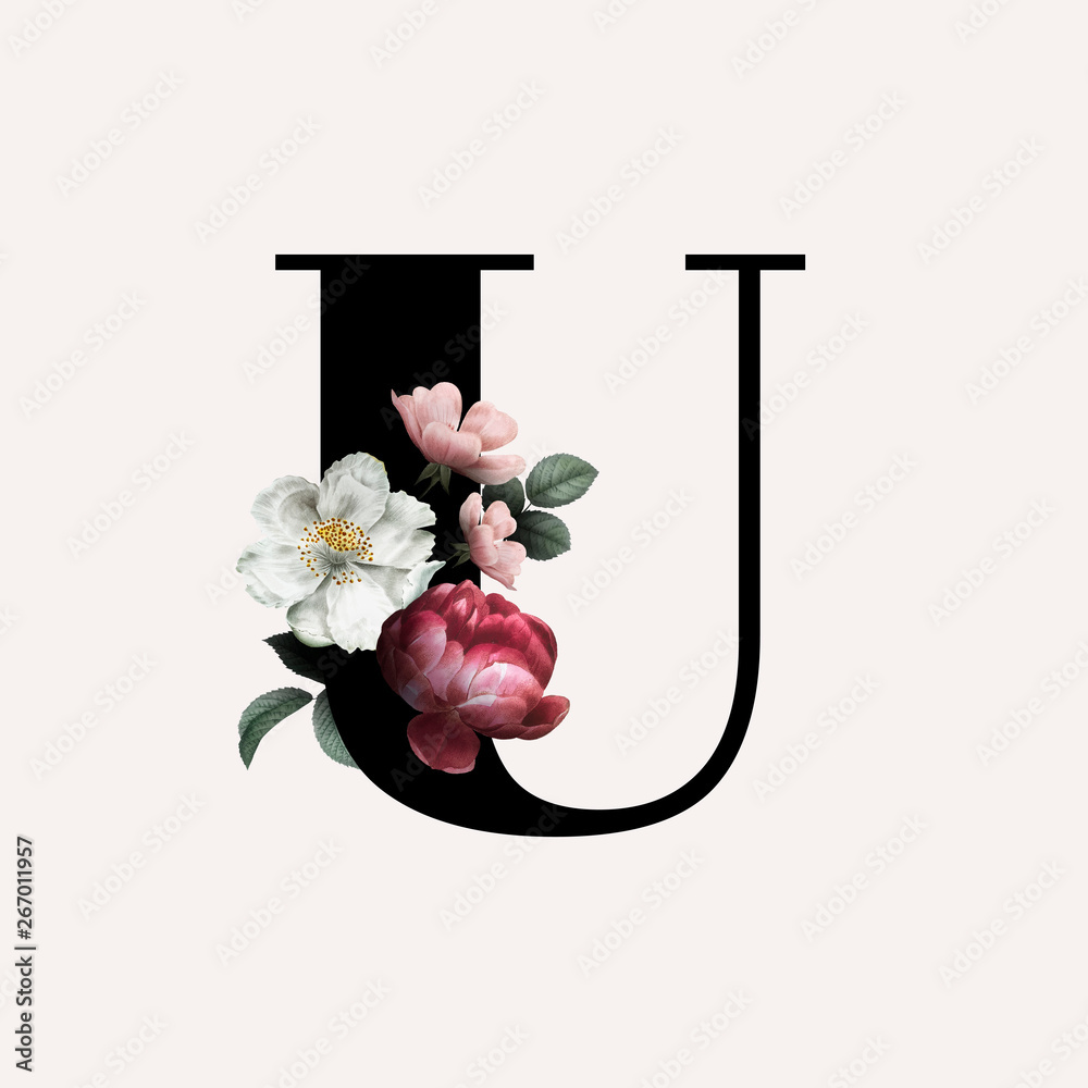 花体字母U字体