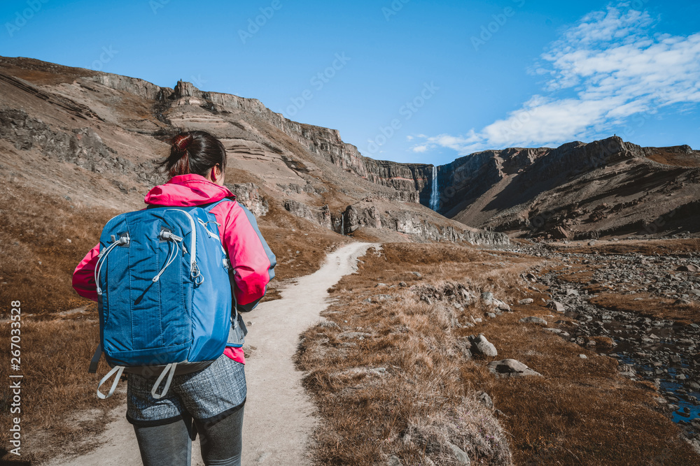 女旅行者在冰岛亨吉福斯瀑布的冰岛夏季景观中徒步旅行
1672705030,仙人掌花的特写。