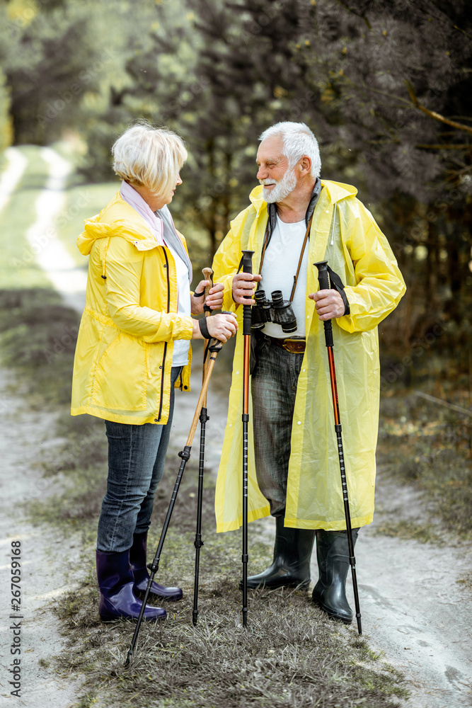 Portrait of a happy senior couple in yellow raincoats hiking with trekking sticks in the young pine 