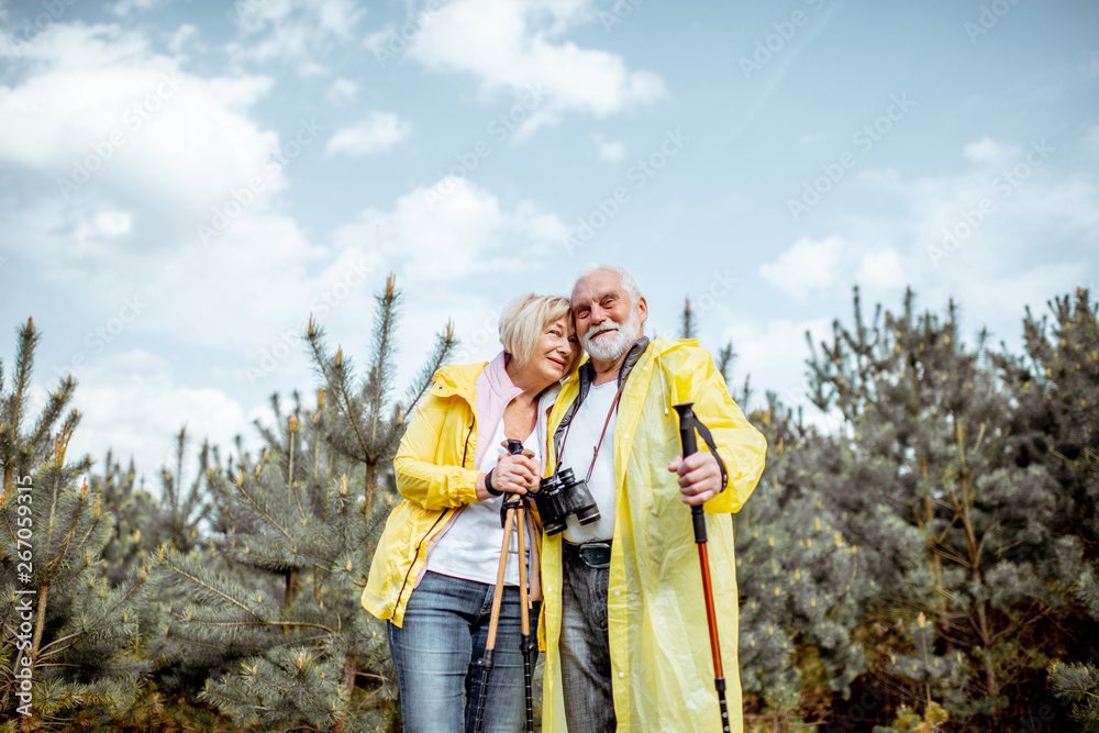 Portrait of a happy senior couple in yellow raincoats hiking with trekking sticks in the young pine 