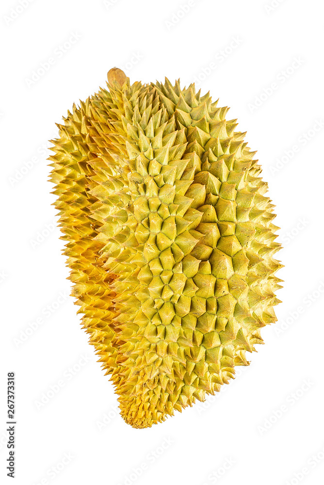 a tropical fruit durian on a white background