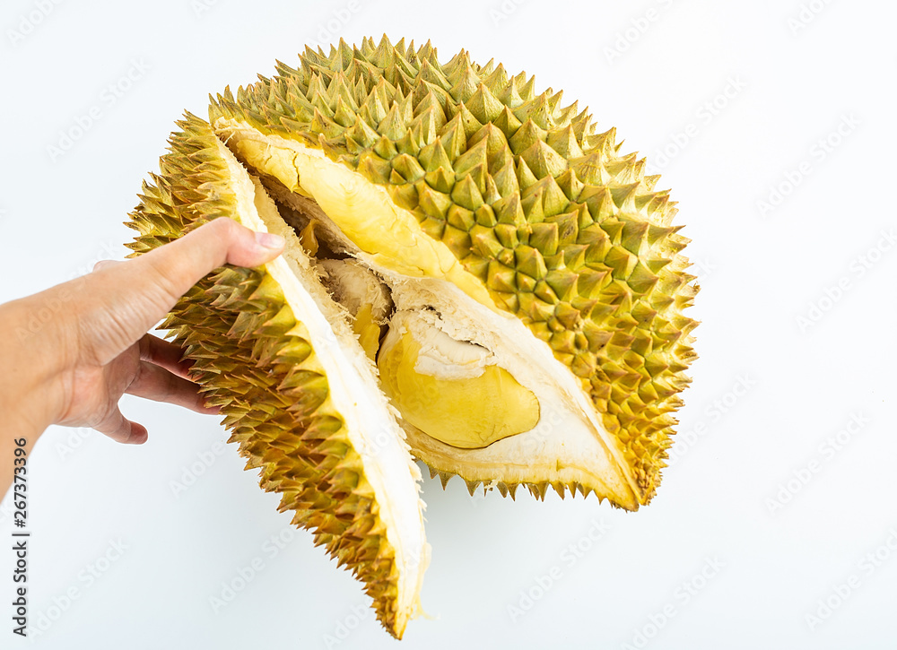 a peeling durian on a white background