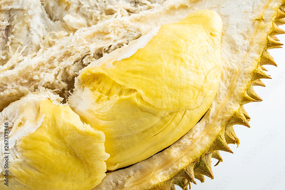 Delicious fruit durian on white background