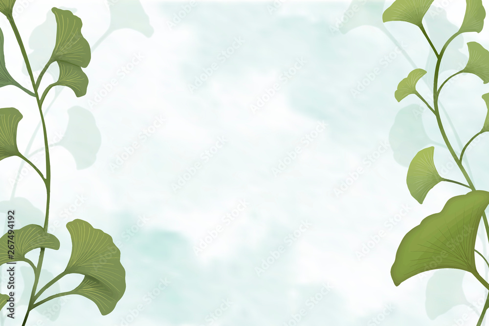 Ginkgo leaf background